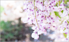 湘南合同法律事務所